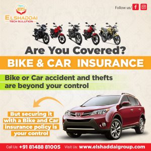 B8S1IM060305-01-Elshaddai